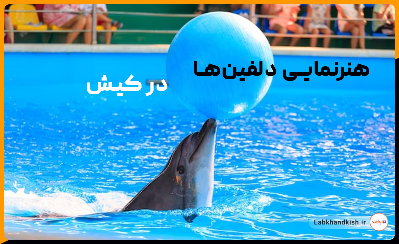 خرید بلیط پارک دلفین‌ها در کیش
